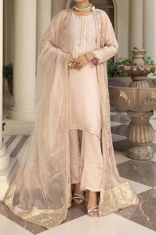 WOMEN'S PRET MEHRUNNISA | N-06 | Pink