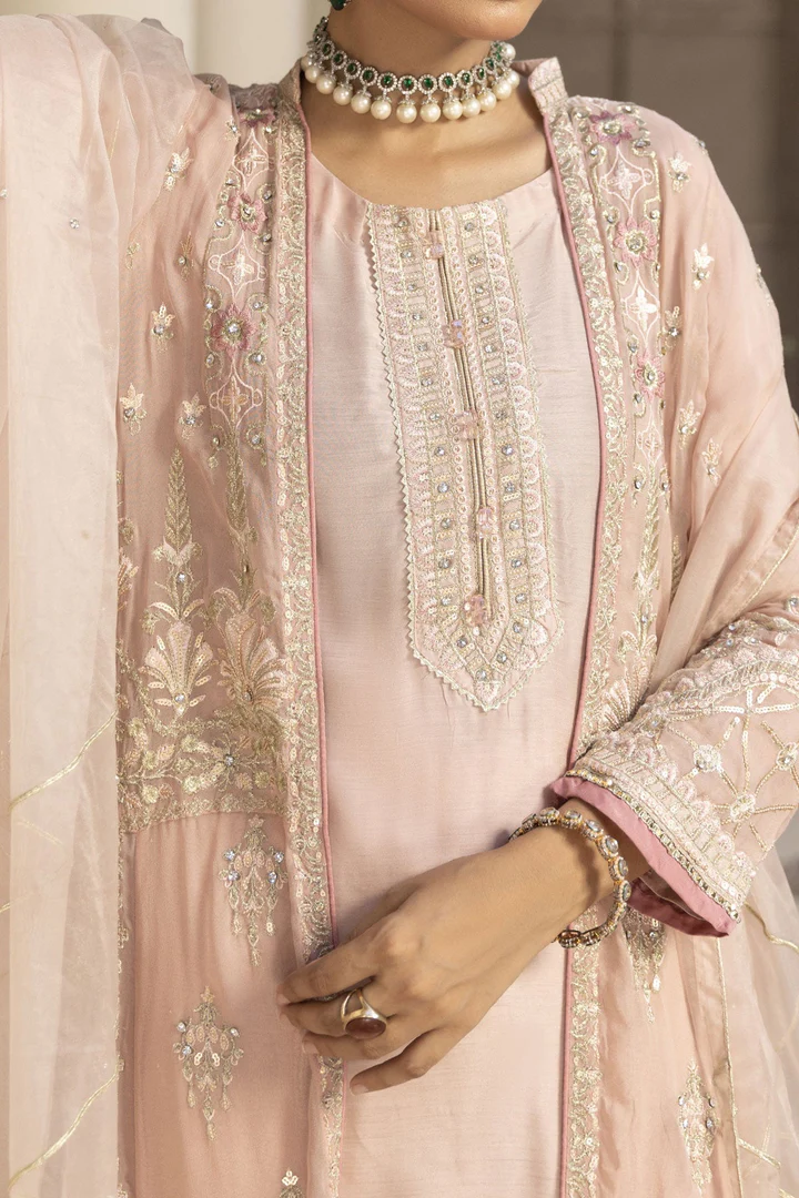 WOMEN'S PRET MEHRUNNISA | N-06 | New Pista