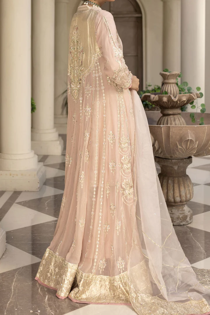 WOMEN'S PRET MEHRUNNISA | N-06 | New Pista